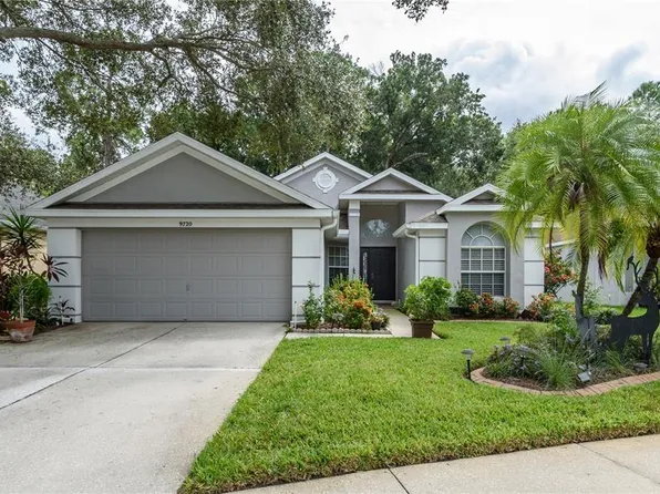 9720 Fredericksburg Rd, Tampa, FL 33635