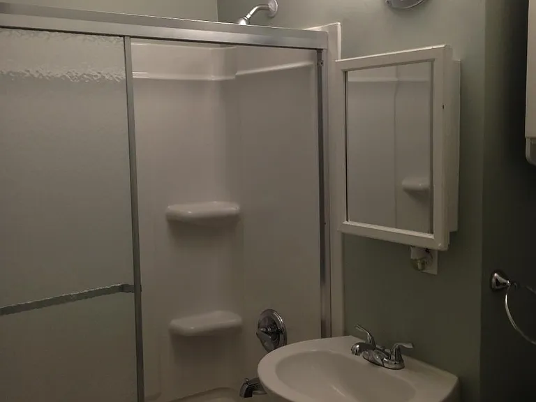 Guest Bathroom 1