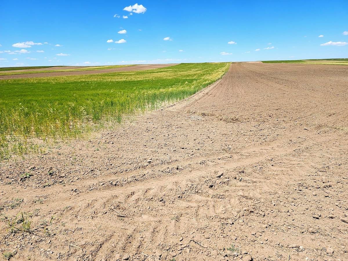 Road 18s, Bushnell, NE 69128 MLS 11290023 Zillow