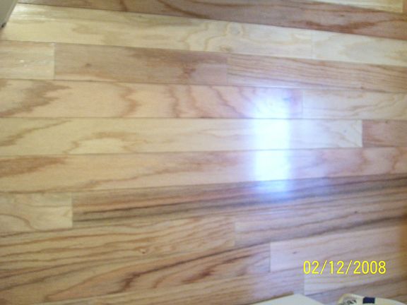 All hardwood floors downstairs