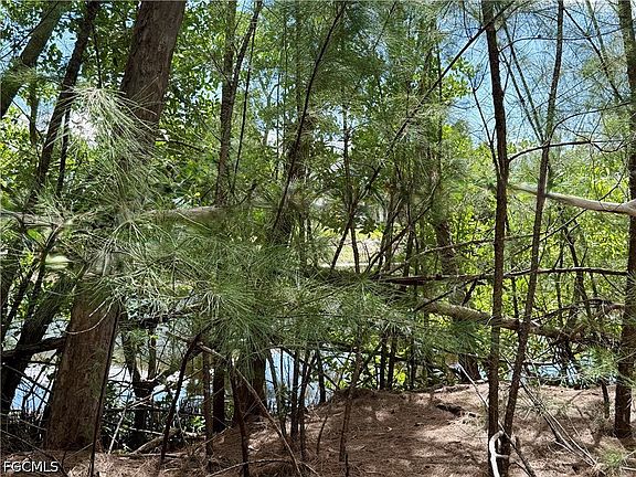 5th image of 4018 Stringfellow Rd