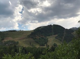 1400 Tiehack Rd, Aspen, CO 81611