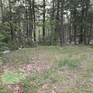1349 Manktown Rd, Waldoboro, ME, 04572