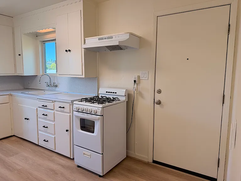 Entry door and kitchen
