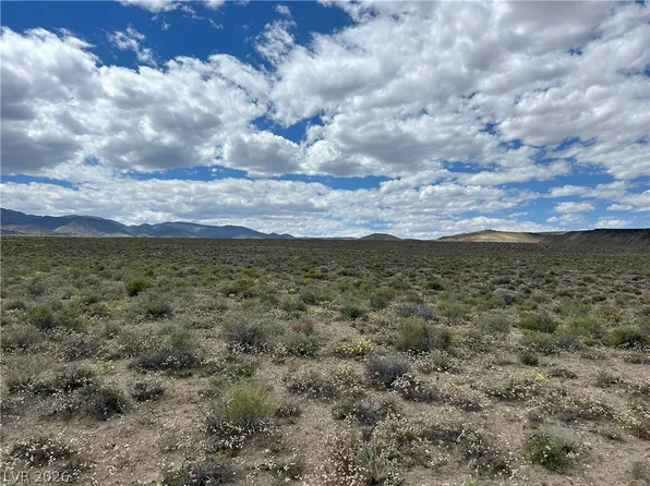 510 Gillum Ln, Dyer, NV 89010