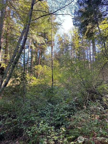5th image of 2861 Aiston Creek Rd