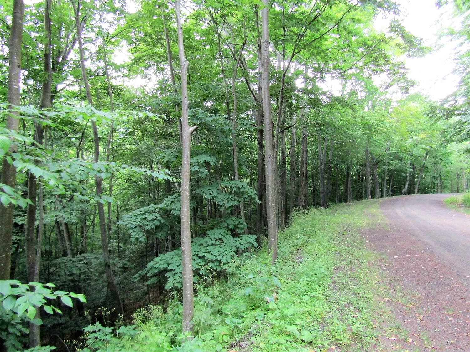 Erika Dr, Shandaken, NY 12480 Zillow