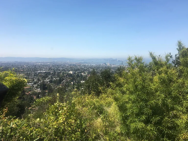330 Panoramic Way #1/2 — Photo 12