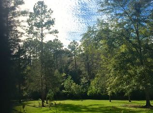 642 Borden Rd, Whigham, GA 39897