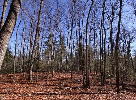 3rd image of 50 Crystal Creek Dr