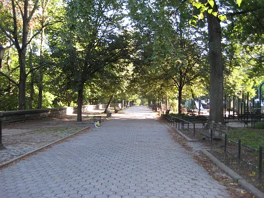 Rented by Magnone Real Estate | media 36