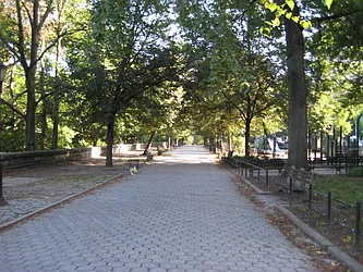 Rented by Magnone Real Estate