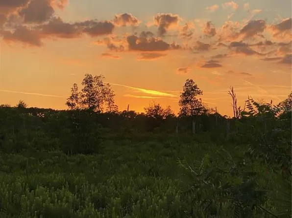 Wiygul Rd, Umatilla, FL 32784