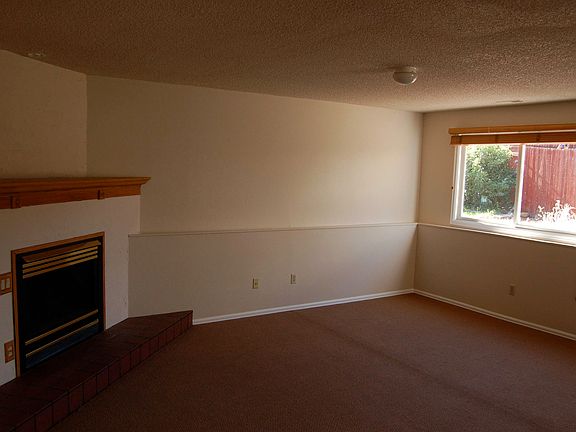 Family room fireplace