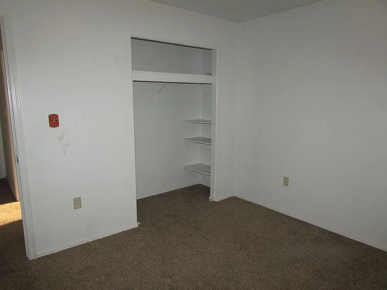 2306 E Olive St — Photo 15