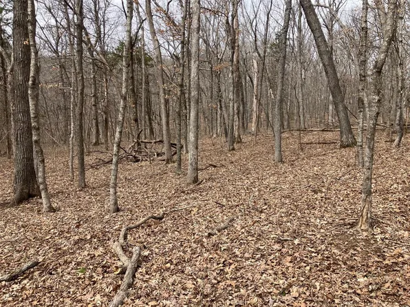 Sycamore Ln, New Florence, MO 63363