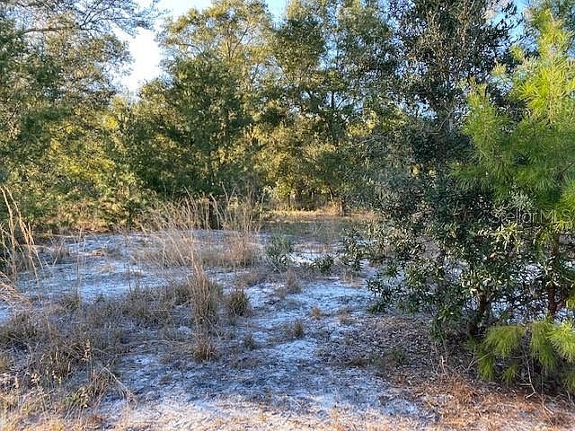 1st image of 130 Running Deer Trl