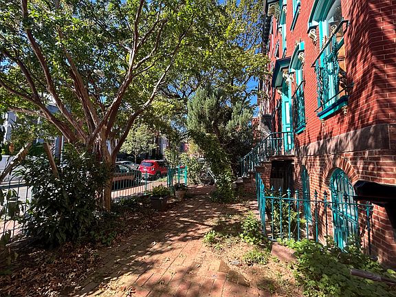 Front yard along M St lookng toward entrance.