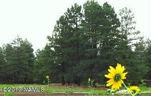 1st image of 2520 W Kiltie Ln