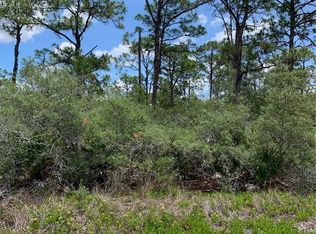 553 Wildflower St, Lake Placid, FL 33852