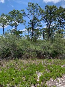 553 Wildflower St, Lake Placid, FL, 33852