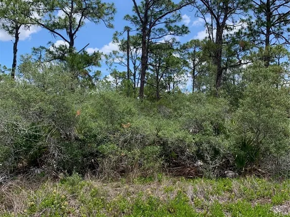 553 Wildflower St, Lake Placid, FL 33852