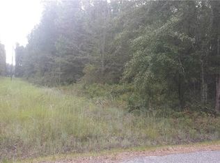 208 Mount Pleasant Rd, Clyo, GA 31303