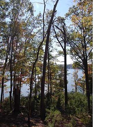 4th image of 13840 Girl Scout Rd #162
