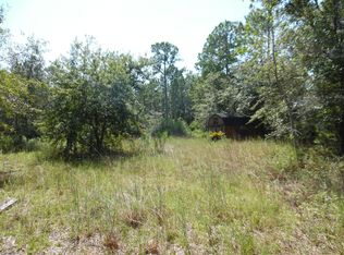 0 Bent Twig Rd, Middleburg, FL 32068