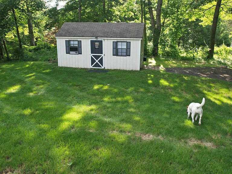 Shed