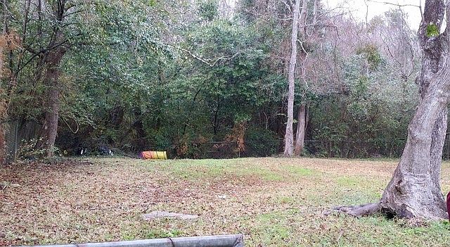 2nd image of 1007 Anders Dr