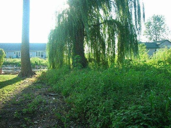 3rd image of 8620 Sadler Dr