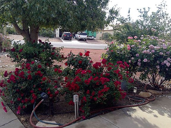 Front porch looking out.