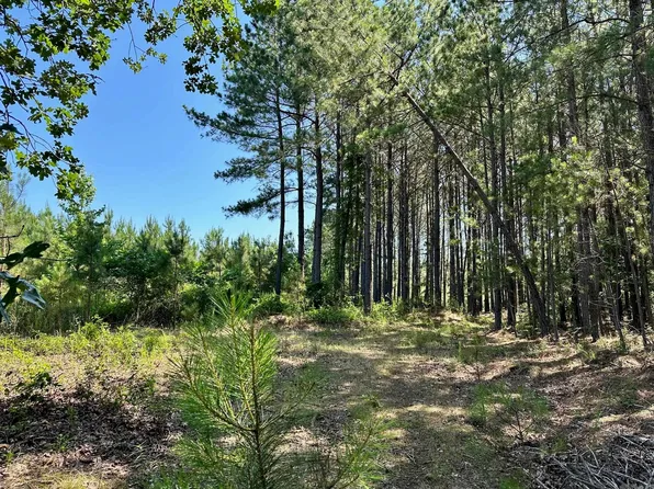 0 Caglesville Ln, Russellville, AR 72802