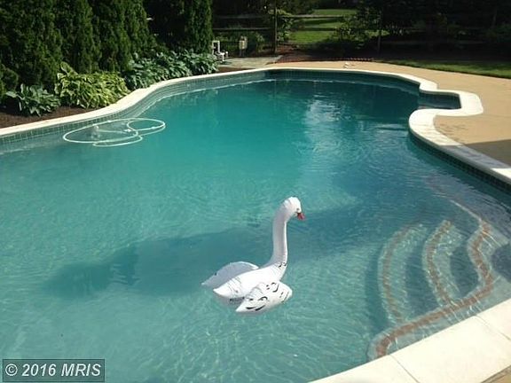 Heated In-Ground Pool