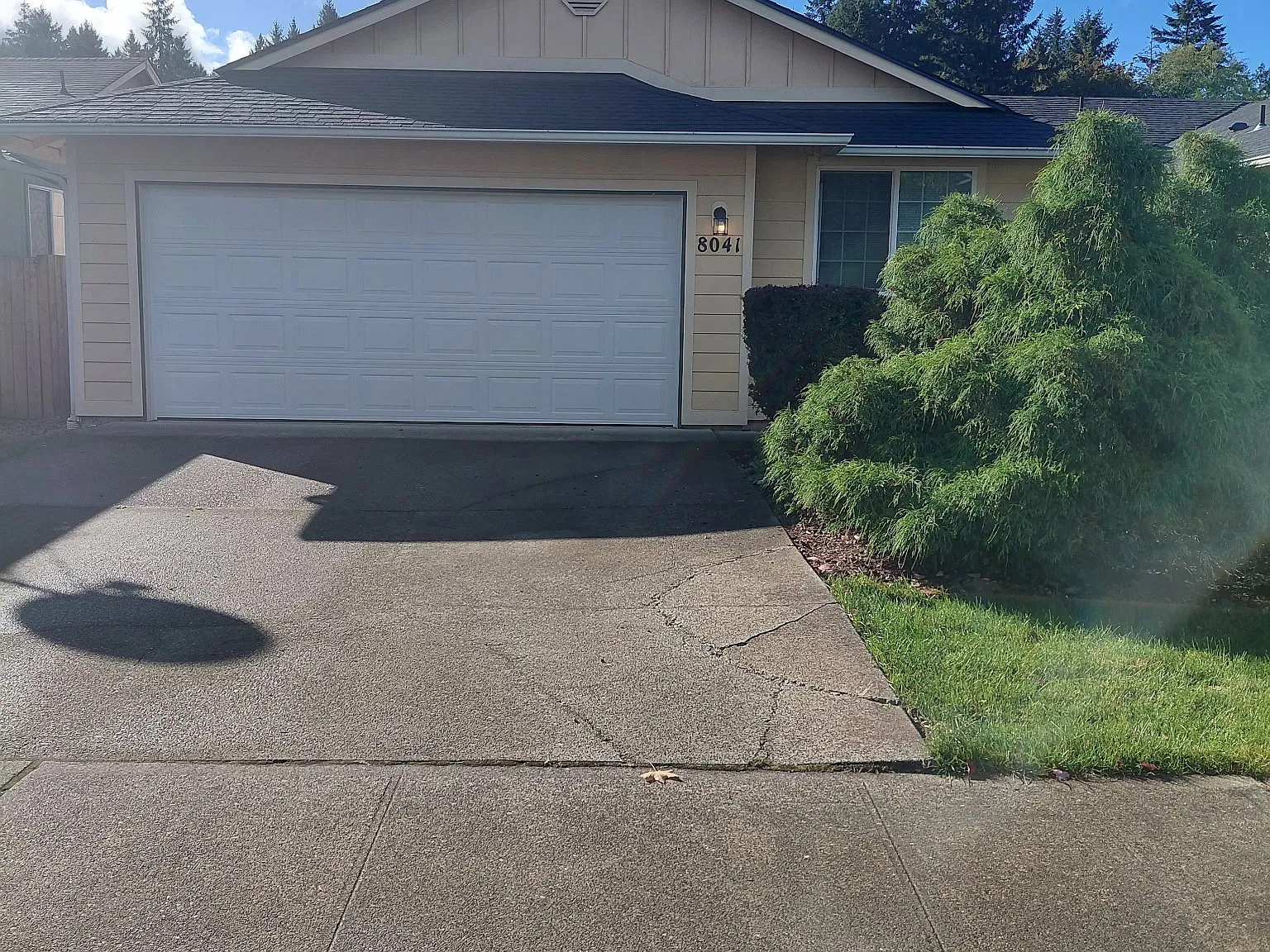 3 bed, 1217 sqft, $2,300 — Photo 4