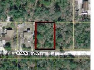 9001 Carrie Way, Weeki Wachee, FL 34613