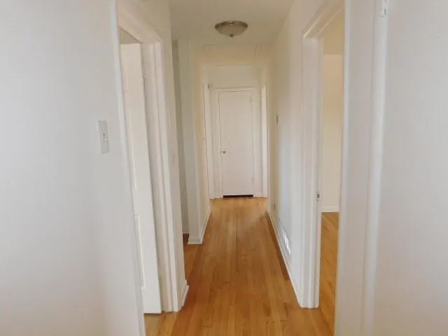 2407 Summerland Dr — Photo 13