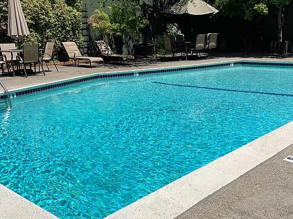 Outdoor swimming pool!