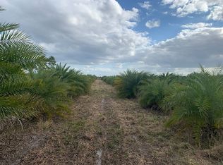 7121 6th Rd, Labelle, FL 33935