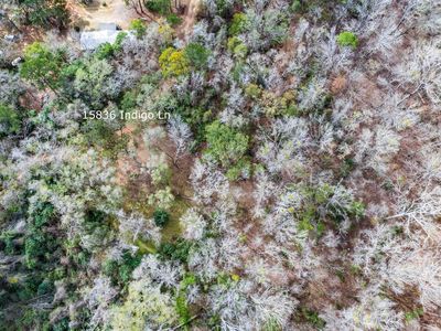15836 Indigo Ln, Tallahassee, FL, 32309