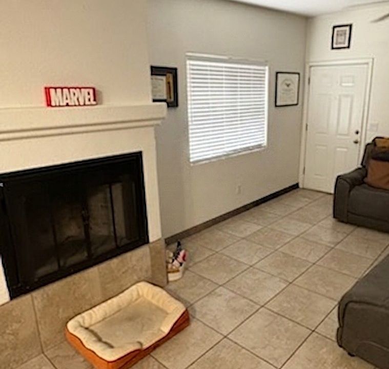 Front door, fireplace in living area