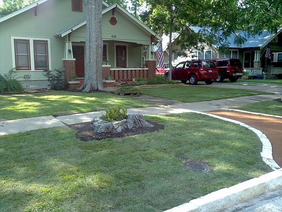 Drought tolerant zoysia 2012
