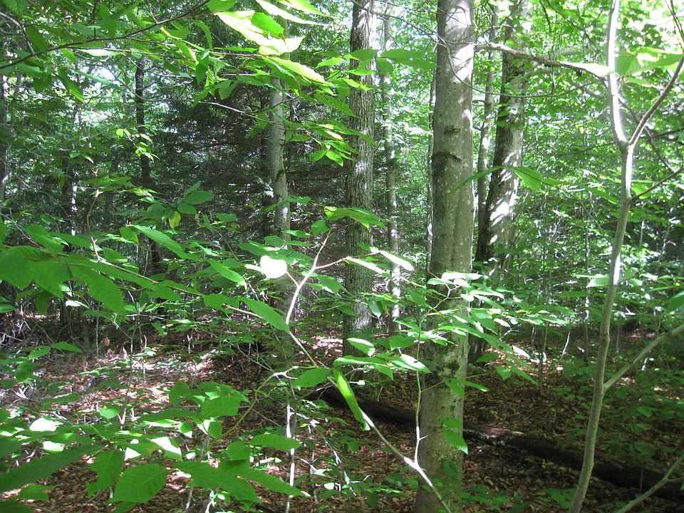 James Rd, Salisbury Center, NY 13454 Zillow