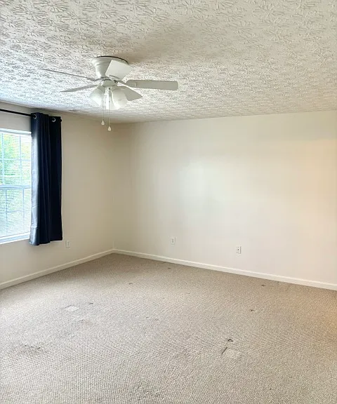 8175 Grant Park Ave — Photo 9