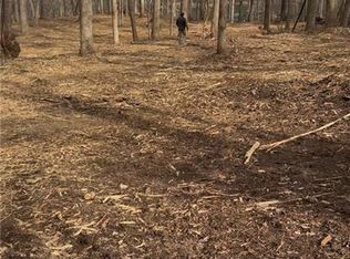 0 Bailey Mill Rd, Gainesville, GA 30506