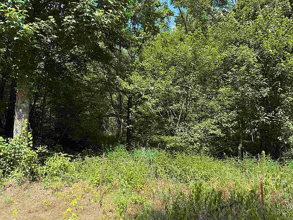 2nd image of 7 Hughey Talley Rd