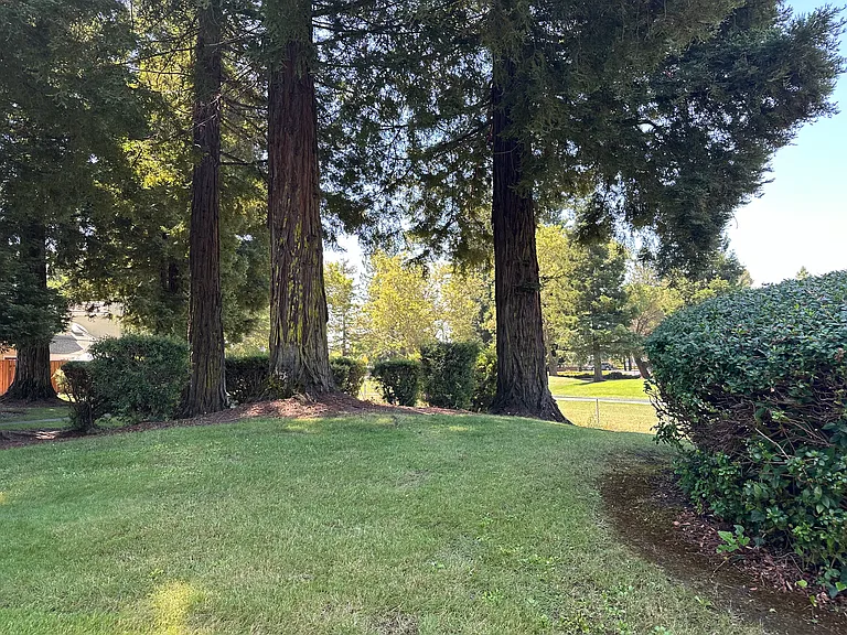 View from outside rear patio
