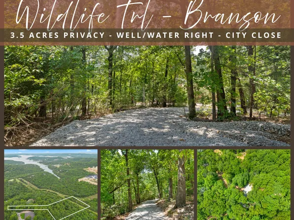 Tbd Wildlife Trail, Branson, MO 65616