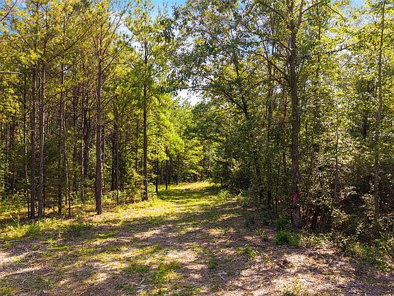 4th image of 1988 County Road 19 N